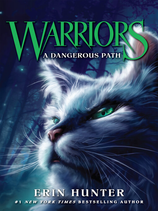 Cover image for A Dangerous Path